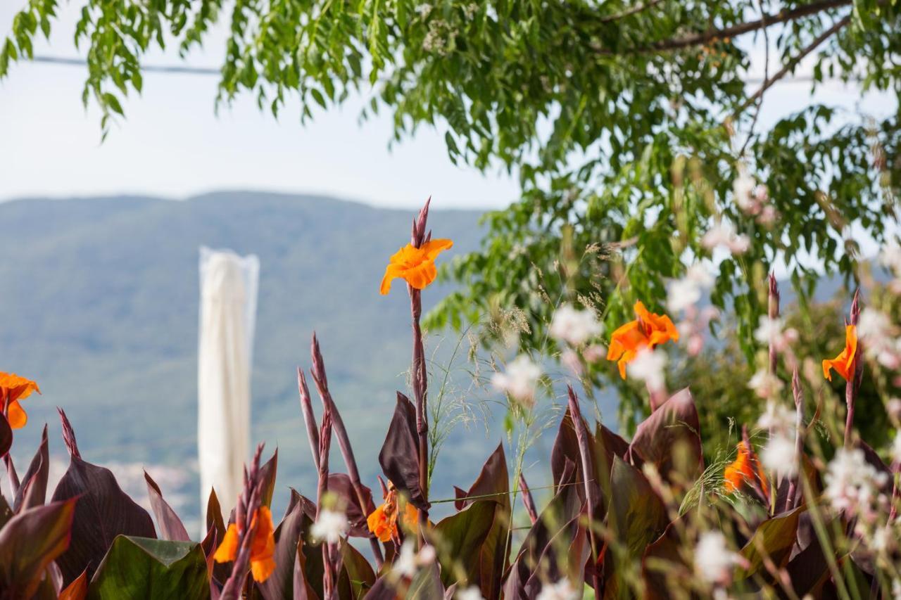 Villa Pangalis Romantica Kato Pavliana エクステリア 写真
